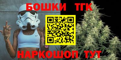 бошки Камышлов