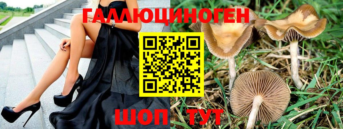 Биробиджан  Галлюциногенные грибы Cubensis  Вход с VPN 