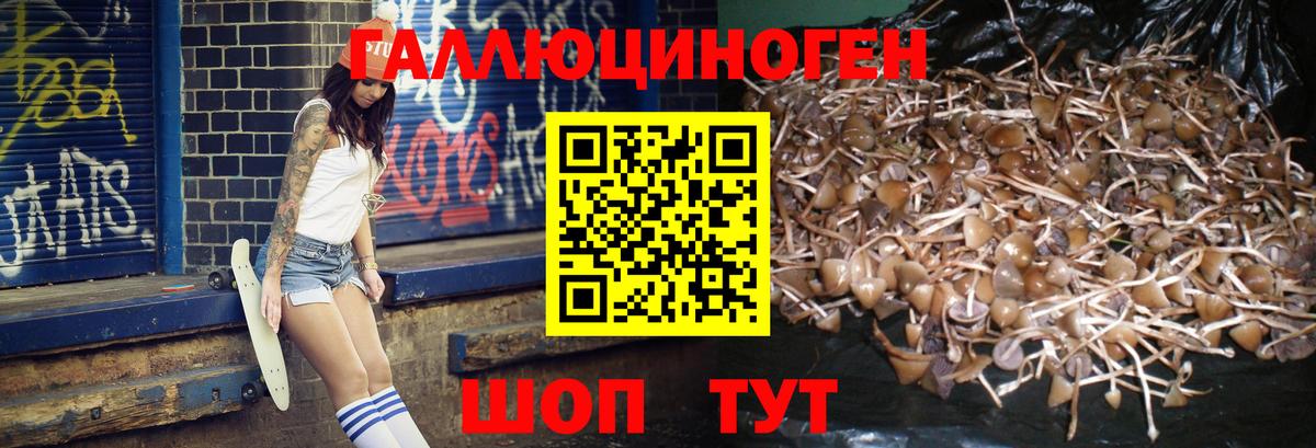 Псилоцибиновые грибы мухоморы Биробиджан